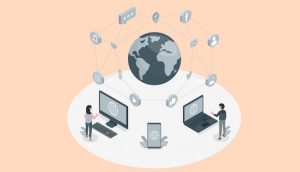 نقش Pbn در سئو چیست